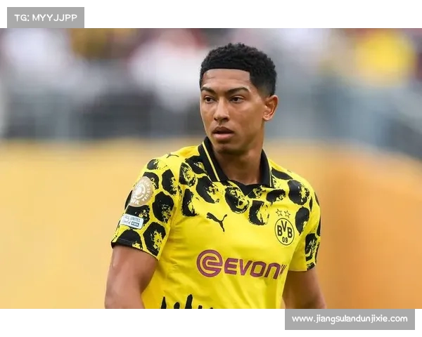 德甲球队最新完整名单及赛季前瞻分析各队实力对比 德甲球队最新完整名单及赛季前瞻分析各队实力对比